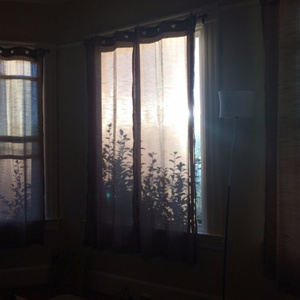 顶级少妇裸露ⅩXXX
